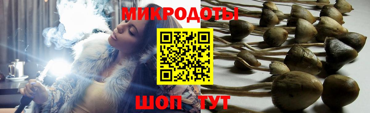 купить   Вход с VPN  Галлюциногенные грибы Cubensis  Петропавловск-Камчатский  Псилоцибиновые грибы прущие грибы 