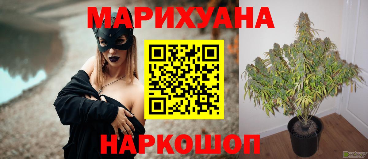 Марихуана White Widow Петропавловск-Камчатский